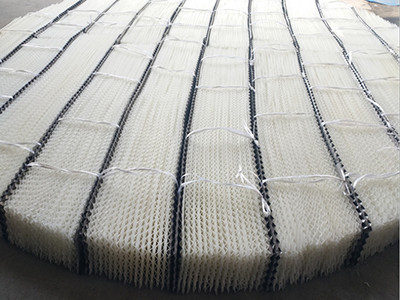 塑料規(guī)整填料圖片5